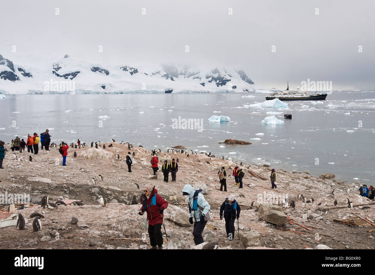 Touristen und Gentoo Penguins, Neko Harbour, antarktische Halbinsel, Antarktis, Polarregionen Stockfoto