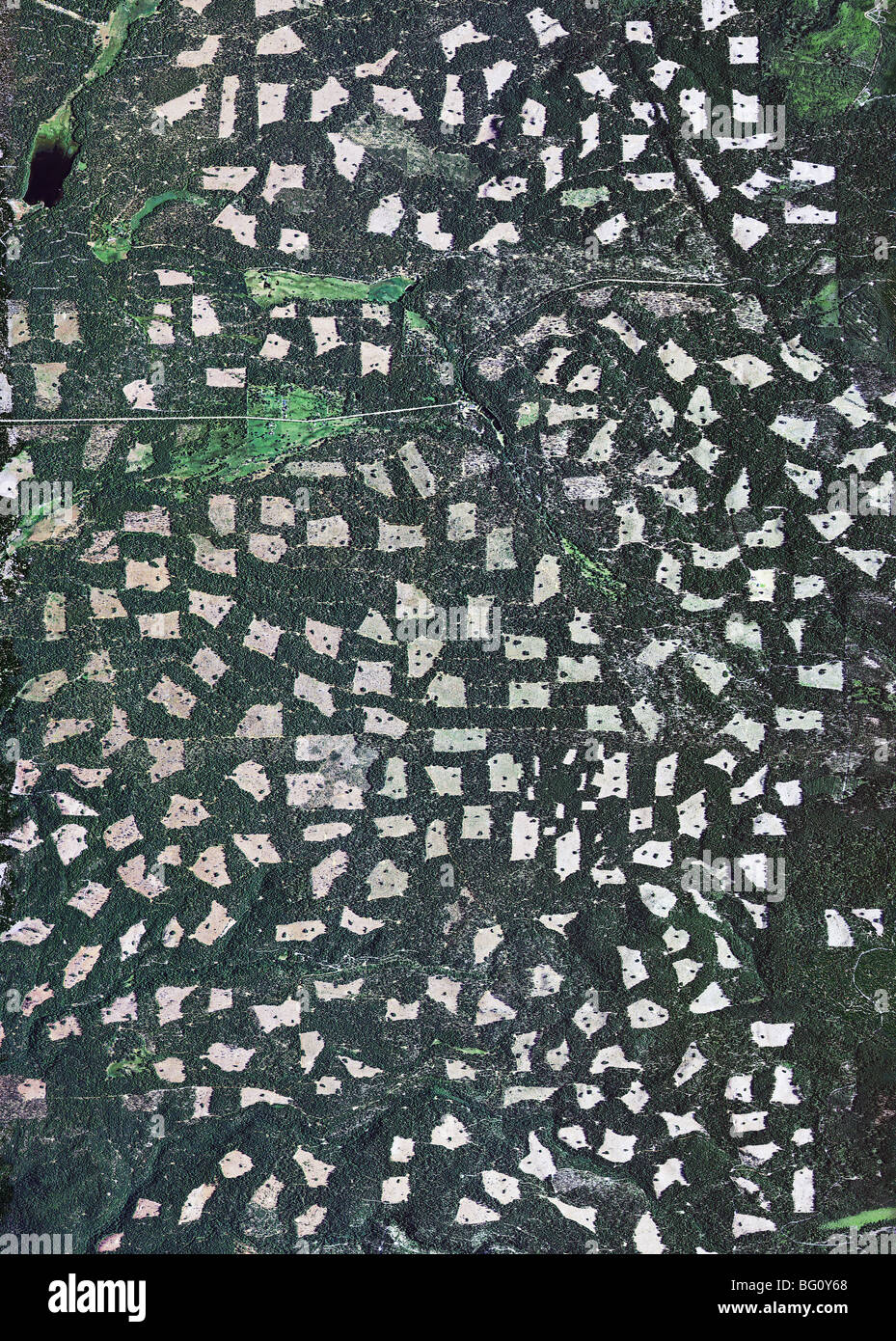 Luftbildkarte Waldes Kahlschläge Shasta county in Kalifornien Stockfoto