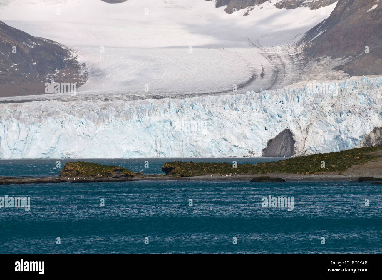 Gletscher in der Nähe von Moltke Hafen, Royal Bay, Südgeorgien, Süd-Atlantik Stockfoto