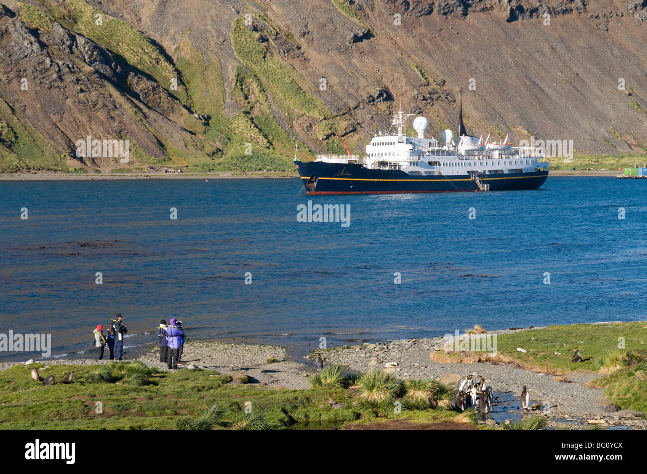 Grytviken, Südgeorgien, Süd-Atlantik Stockfoto