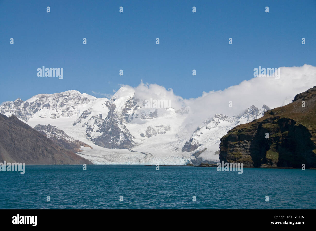 Gletscher, Royal Bay, Südgeorgien, Süd-Atlantik Stockfoto