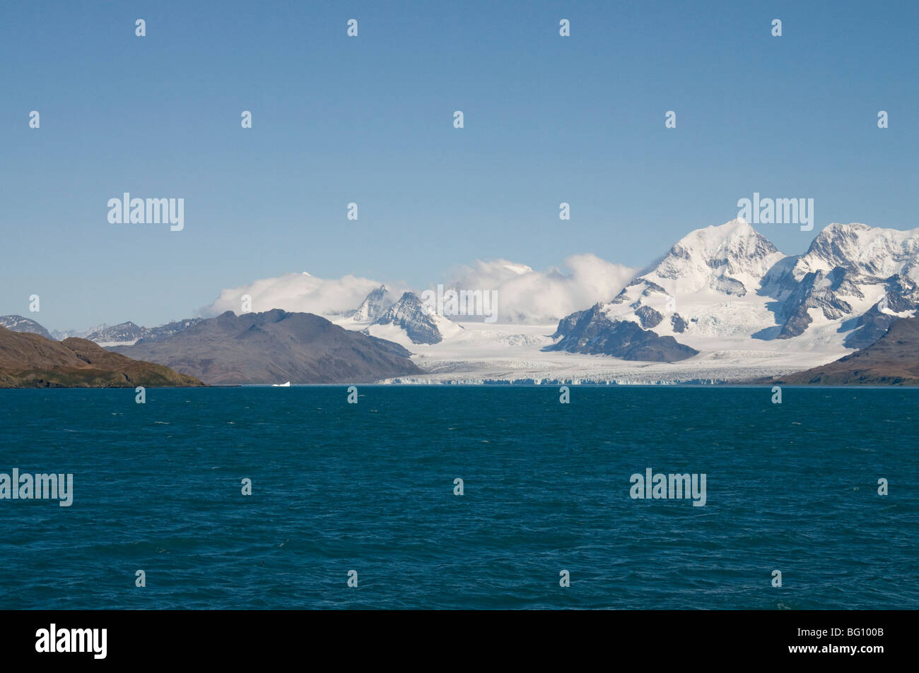 Küste in der Nähe von Grytviken, Südgeorgien, Süd-Atlantik Stockfoto