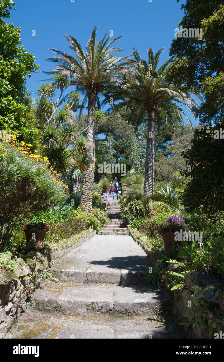 Klostergarten, Tresco, Isles of Scilly, Cornwall, Vereinigtes Königreich, Europa Stockfoto