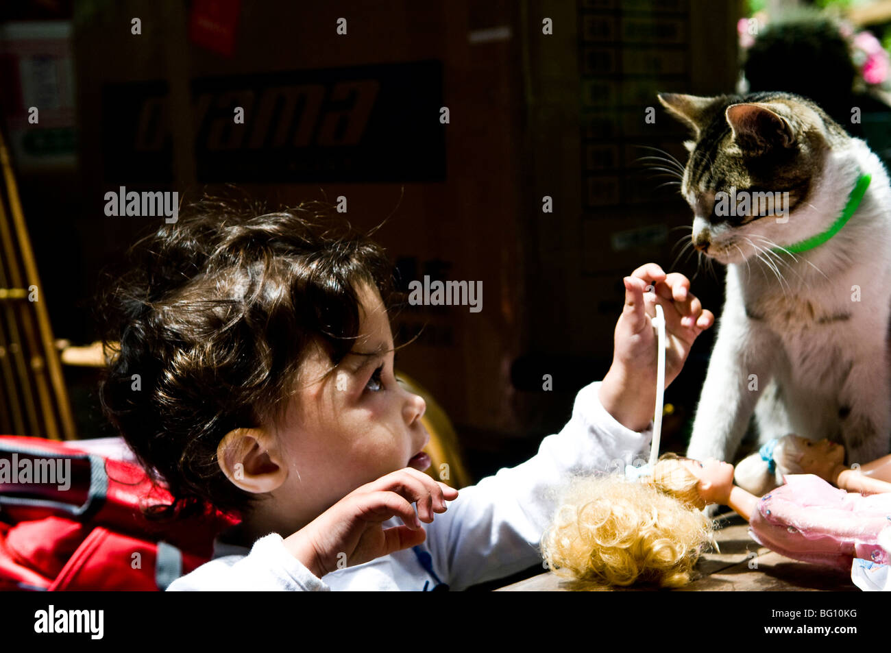 Ein Kleinkind mit einer freundlichen Katze spielen. Stockfoto