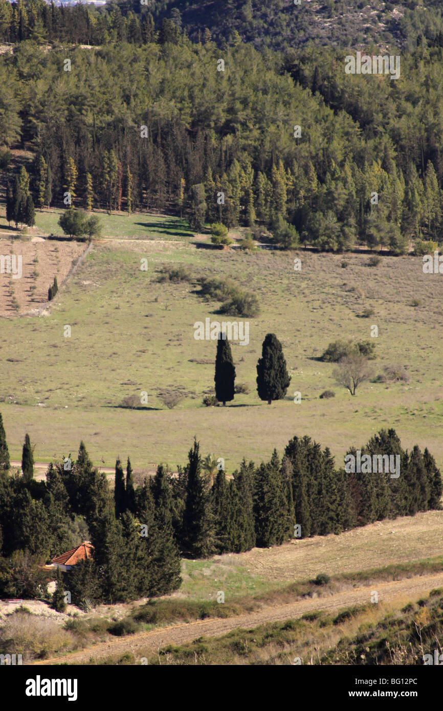 Israel, Menashe Höhen, eine Ansicht der Emek Hashalom in Ramat Menashe Park Stockfoto