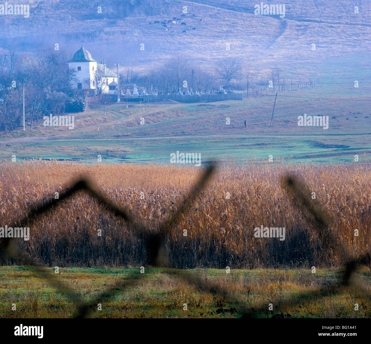 Maisfeld und Kirche befindet sich auf Hügel im Hintergrund, Herbst-Saison Stockfoto