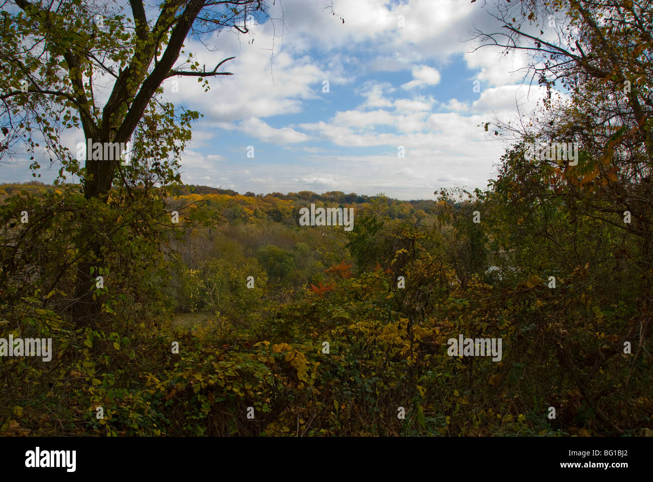 Landschaftlich reizvoll, Blätter fallen im Herbst Washington DC George Washington Parkway U.S. USA Nordamerika bunte Herbstlaub Stockfoto