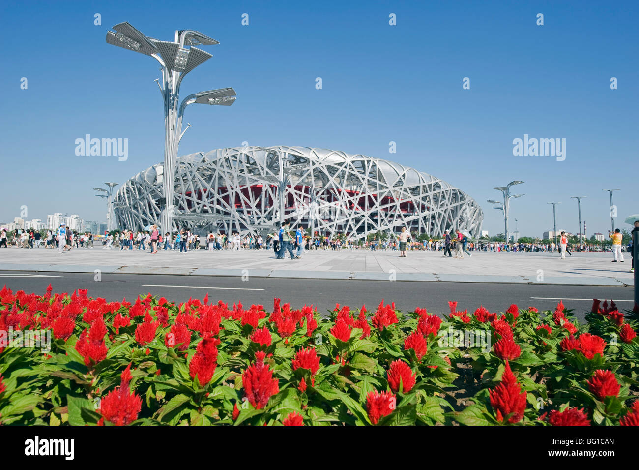 Blumen und die Vögel Nest Nationalstadion entworfen von Herzog und de Meuren im Olympic Green, Peking, China, Asien Stockfoto