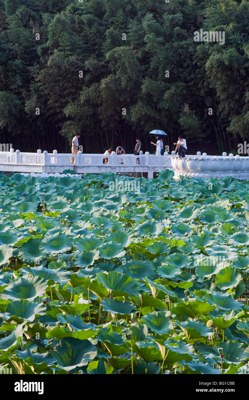 Besucher, die über einen See der Seerosen im Zizhuyuan Black Bambus Park, Peking, China, Asien Stockfoto