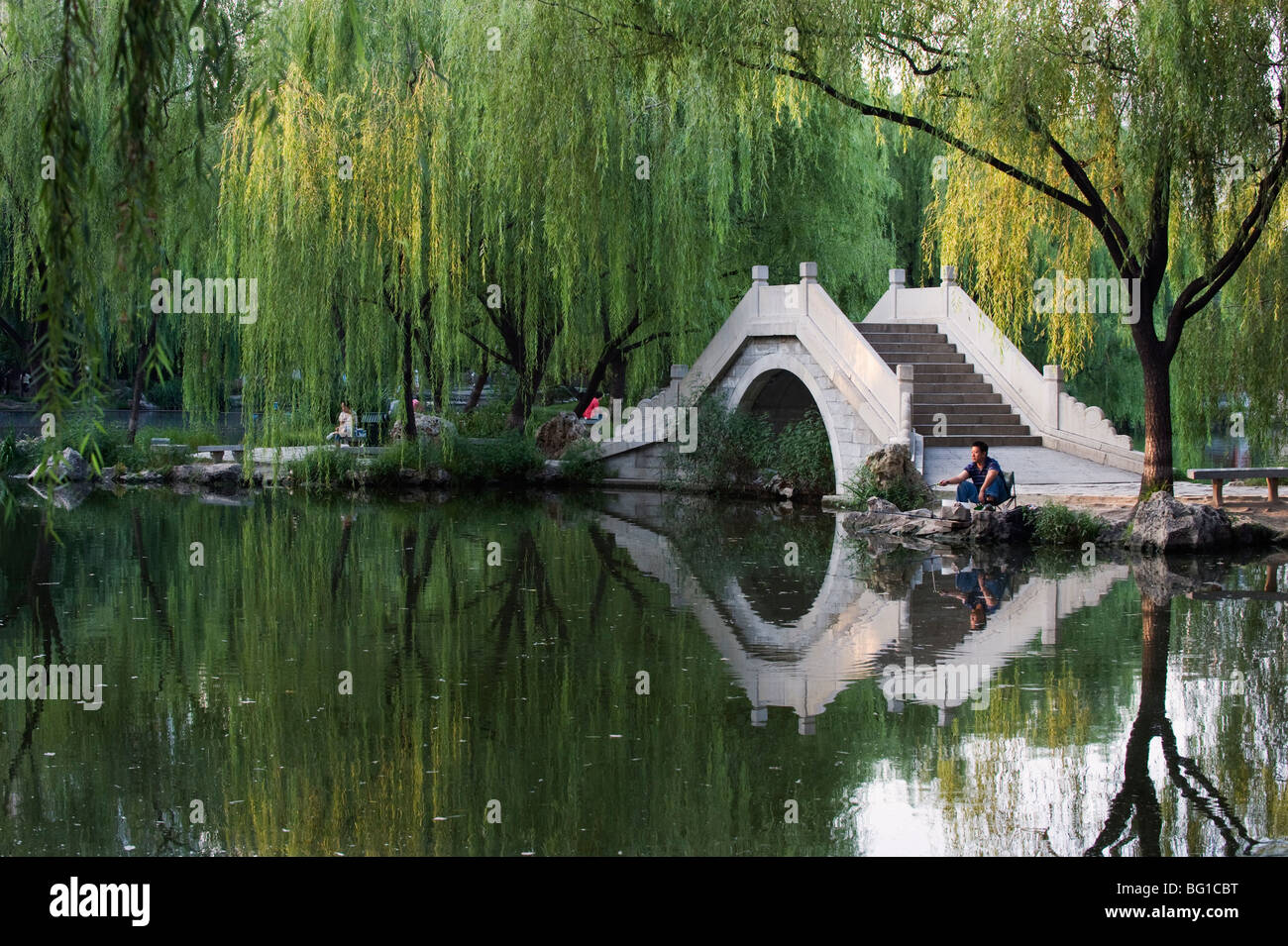 Baum Neben Dem Teich Stockfotos und bilder Kaufen Alamy