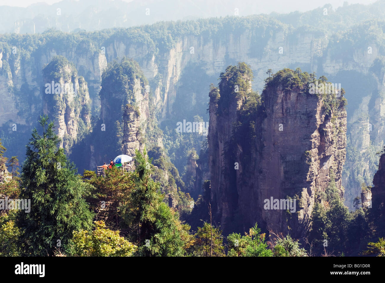 Karst Kalksteinfelsen am Waldpark Zhangjiajie, Wulingyuan Scenic Area, Provinz Hunan, China, Asien Stockfoto