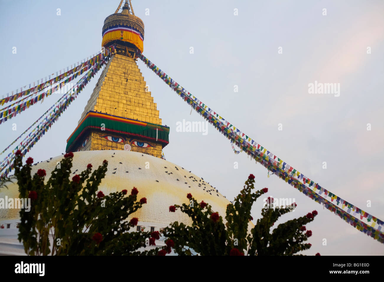 Die alten Bodhnath Stupa in Kathmandu, Nepal ist ein UNESCO-Weltkulturerbe und eines der größten Stupas der Welt Stockfoto