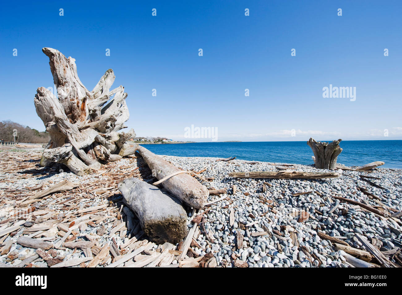 Ein Strand an der Straße von Juan De Fuca, Victoria, Vancouver Island, British Columbia, Kanada, Nordamerika Stockfoto