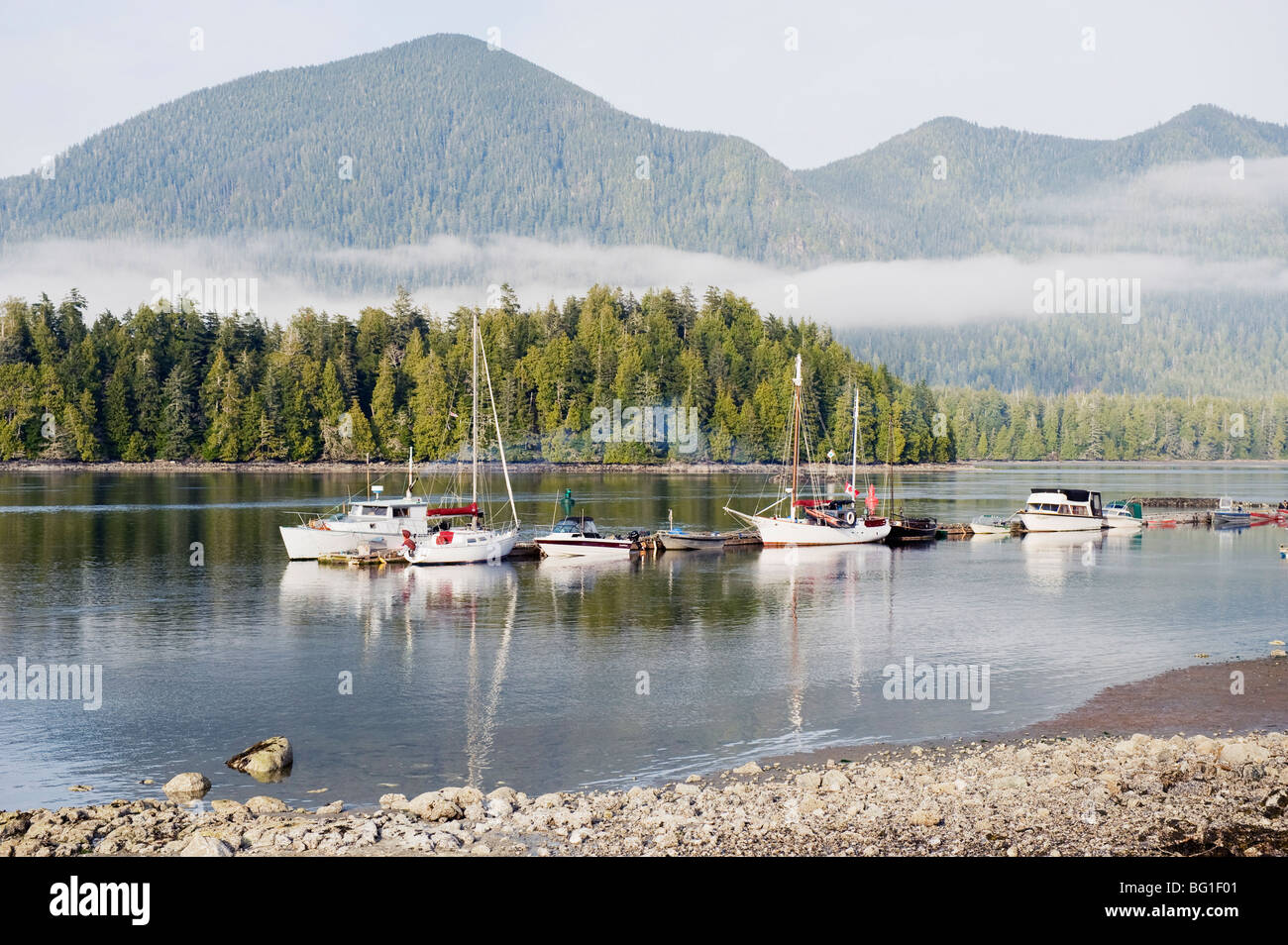 Boote in Tofino, Pacific Rim National Park Reserve, Vancouver Island, British Columbia, Kanada, Nordamerika Stockfoto