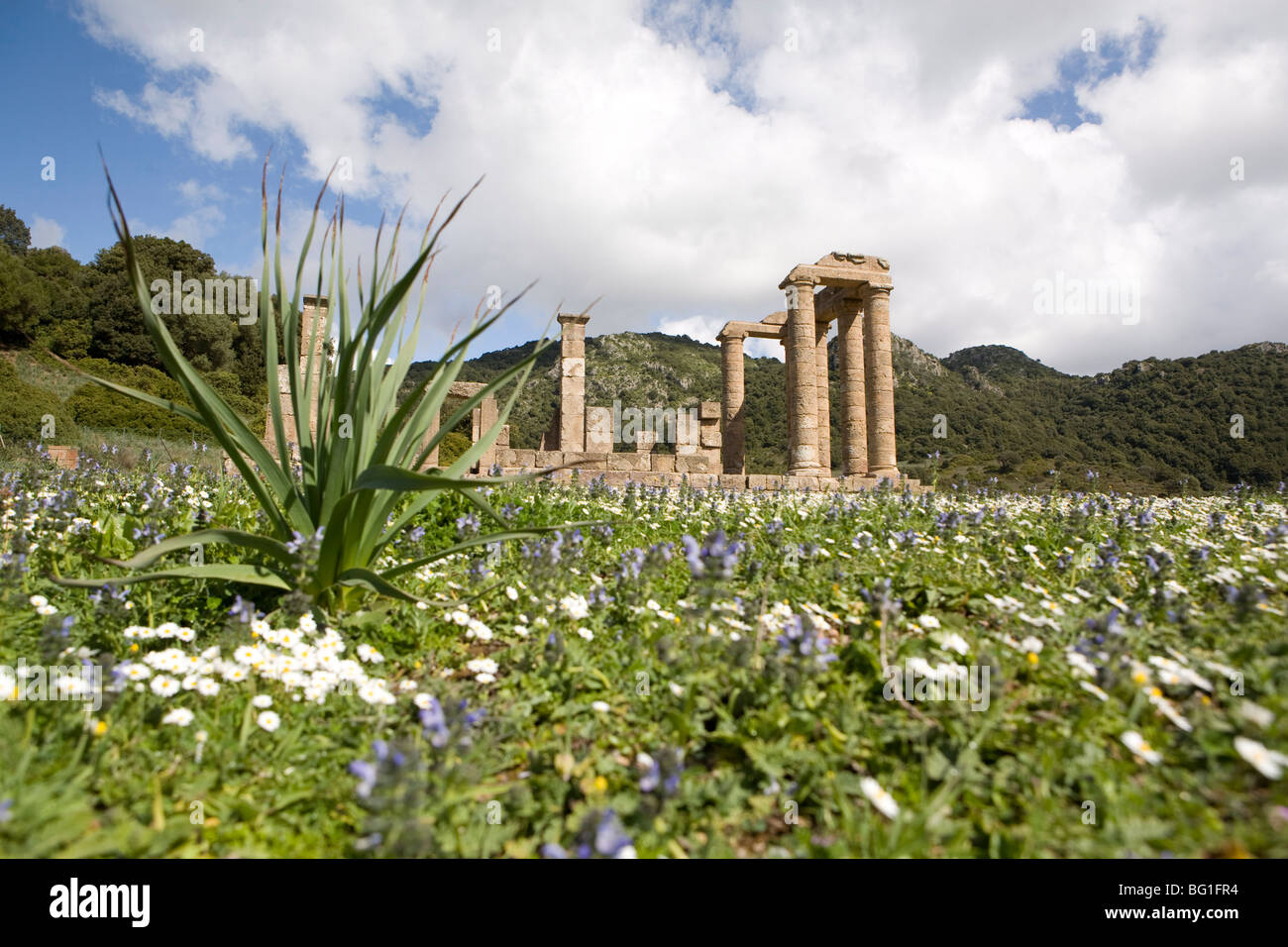 Die punischen Tempel von Antas, Sardinien, Italien, Europa Stockfoto