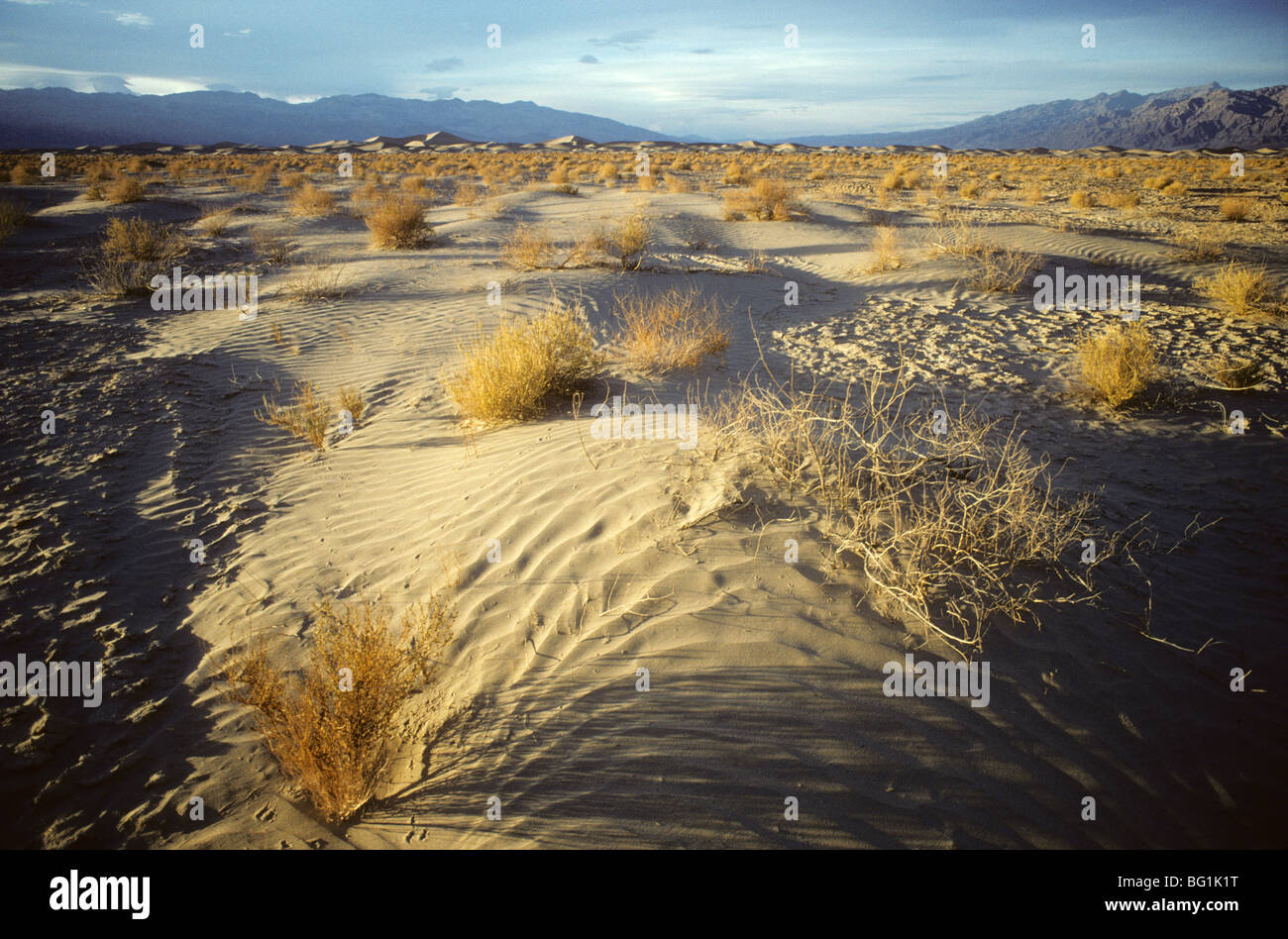 Der Wüste im Death Valley, Kalifornien Stockfoto