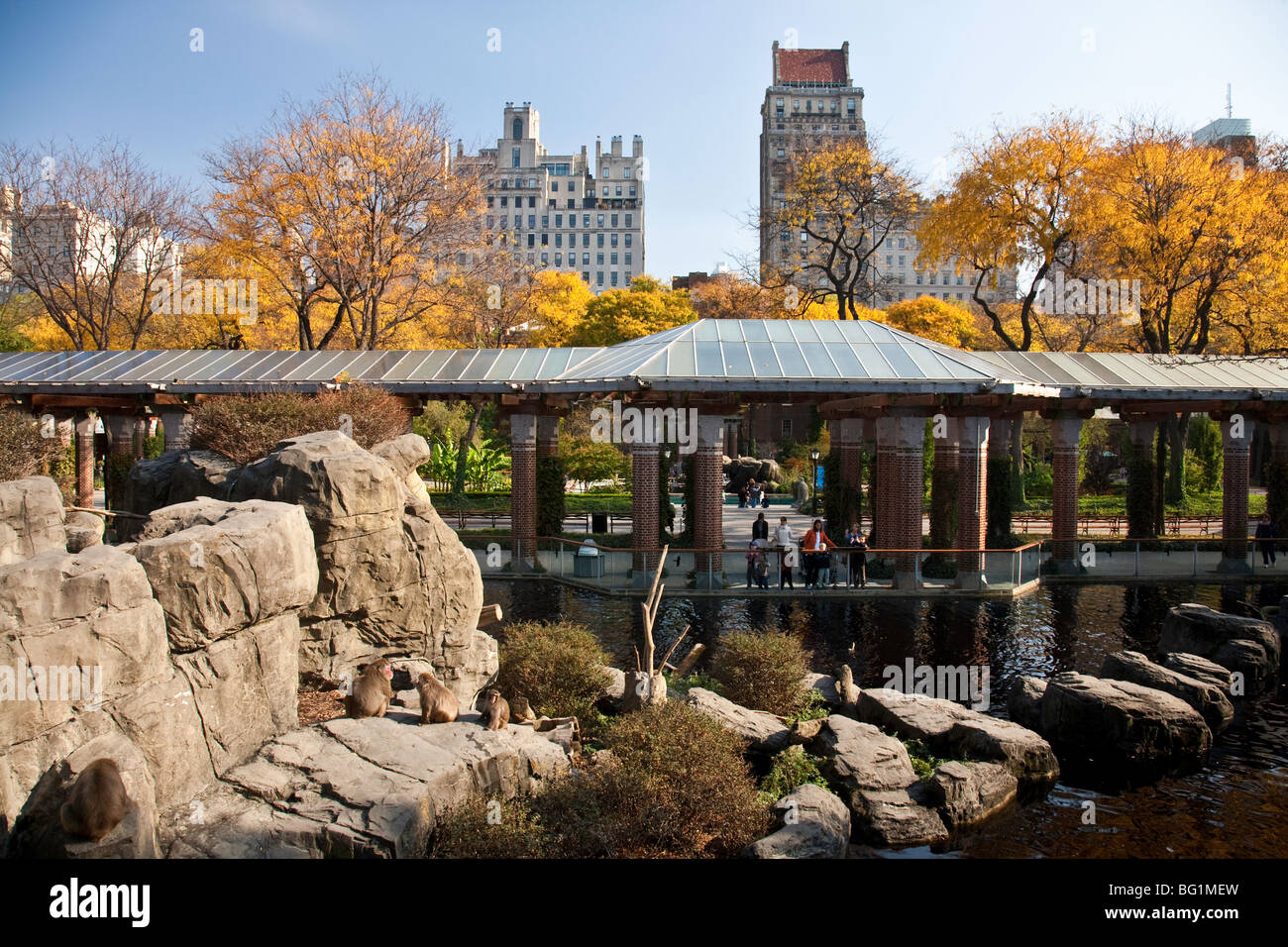 Der Central Park Zoo, NYC Stockfoto
