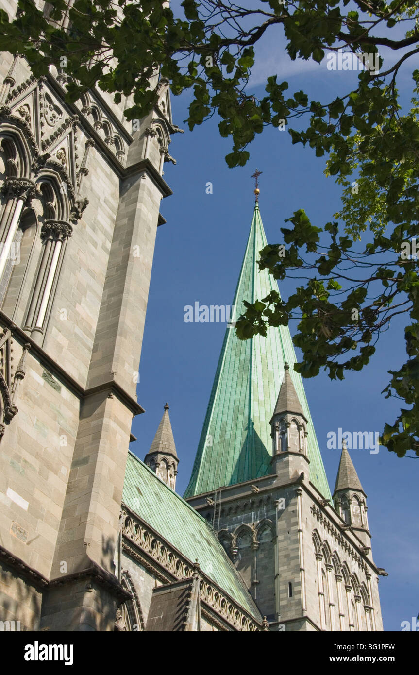 Nidarosdomen Og Dom Detail, Trondheim, Norwegen, Skandinavien, Europa Stockfoto