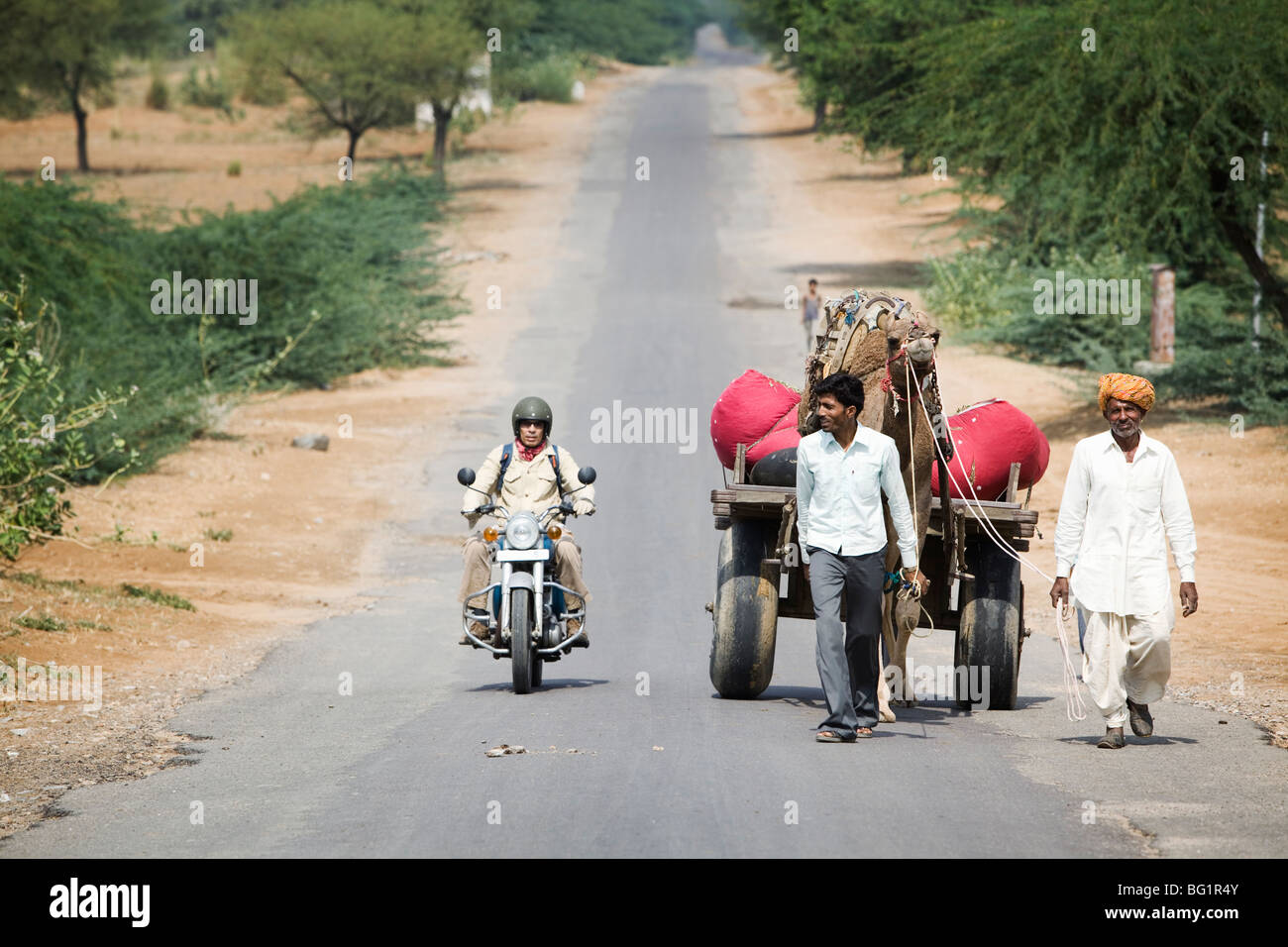 Königliche Enfiel Bullet Motorrad Übernahme eines Kamels in Shekhawati Region, Rajasthan, Indien. Stockfoto