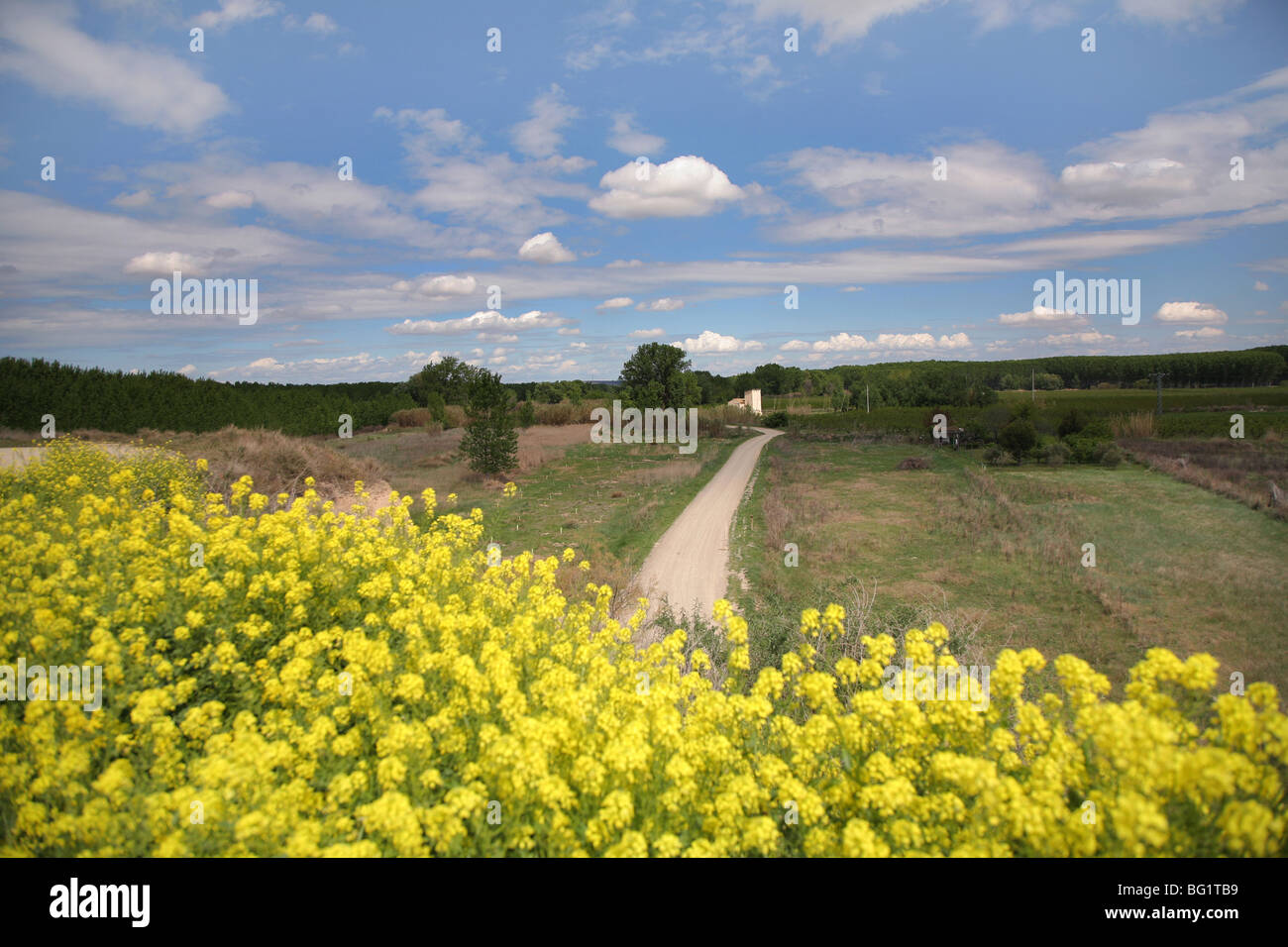 Bunte Frühlingslandschaft im Ebro Nature reserve, Alfaro, La Rioja, Spanien Stockfoto