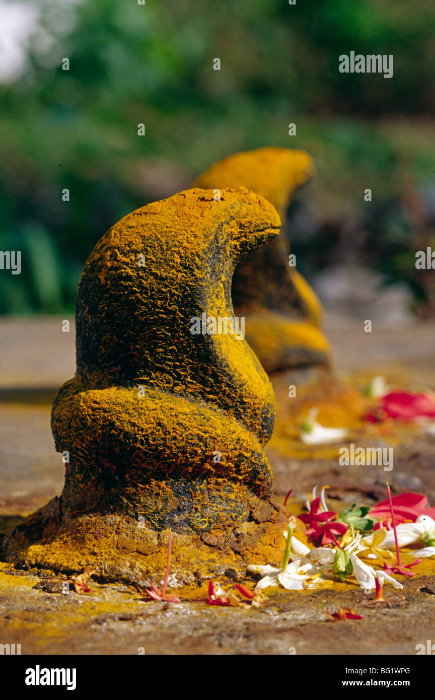 Idole der Schlange-Götter in Kerala, Indien Stockfoto