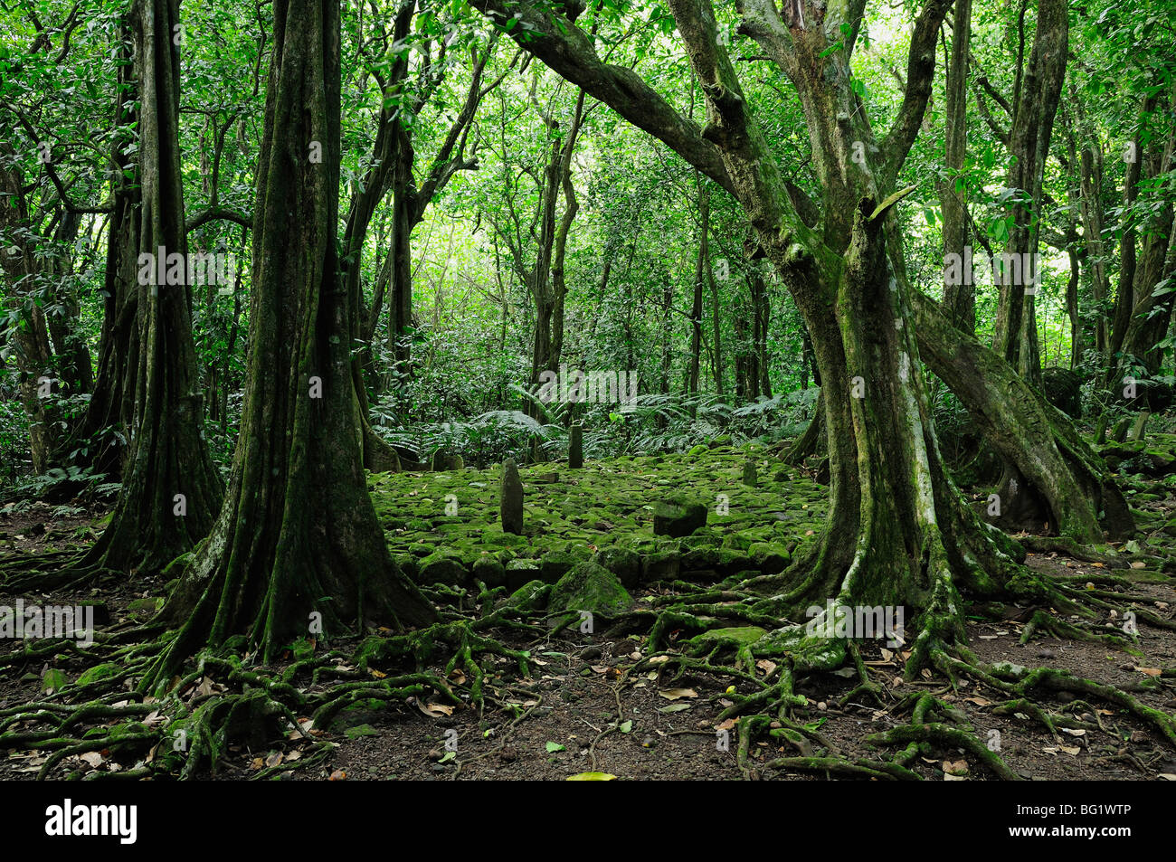 Marae Titiroa historische Stätte, Pazifik, Süd-Pazifik, Moorea, Französisch-Polynesien Stockfoto
