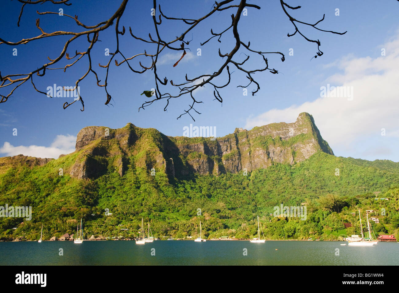 Cooks Bay, Moorea, Französisch Polynesien, Süd-Pazifik, Pazifik Stockfoto