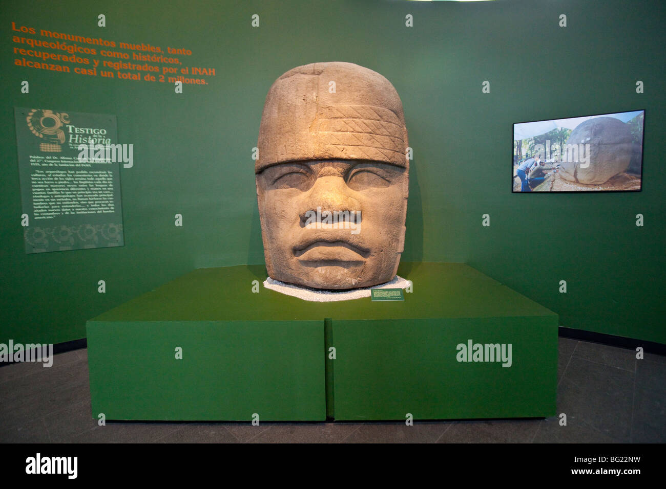 Olmeken kolossale Kopf Skulptur Ausstellung Nationalmuseum für Anthropologie in Mexiko-Stadt Stockfoto