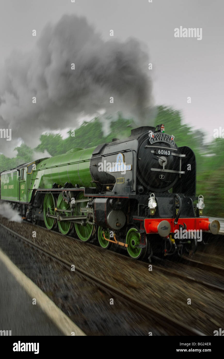 Die neue Build-Klasse A1 Peppercorn (Tornado) Dampf Lok Beschleunigung obwohl Starkregen ziehen einen Dampf spezielle Zug nach Torbay. Stockfoto