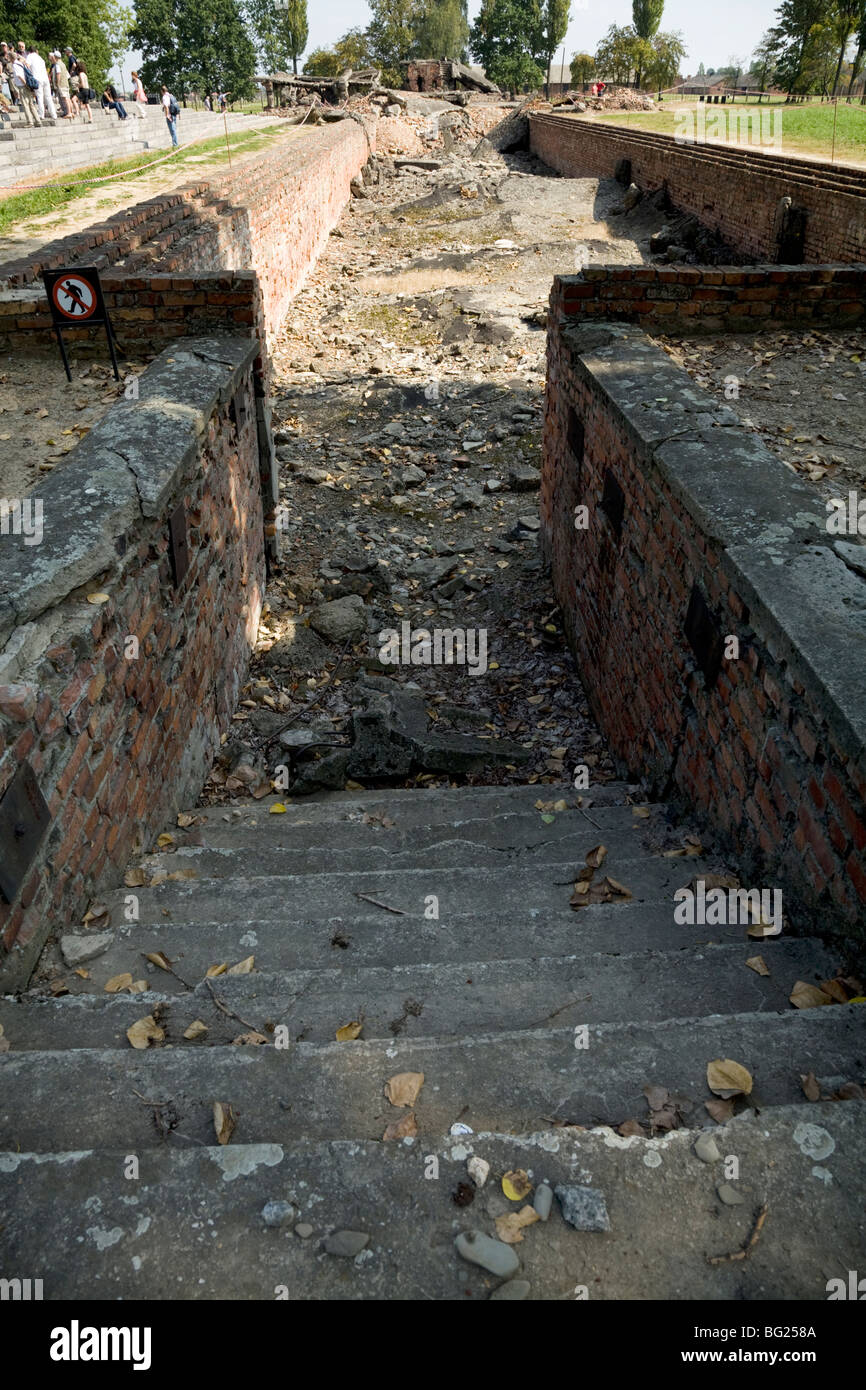 Stufen führen hinunter zu den abgerissenen Gaskammern in Birkenau (Auschwitz II - Birkenau) Nazi-Vernichtungslager in Oswiecim, Polen. Stockfoto