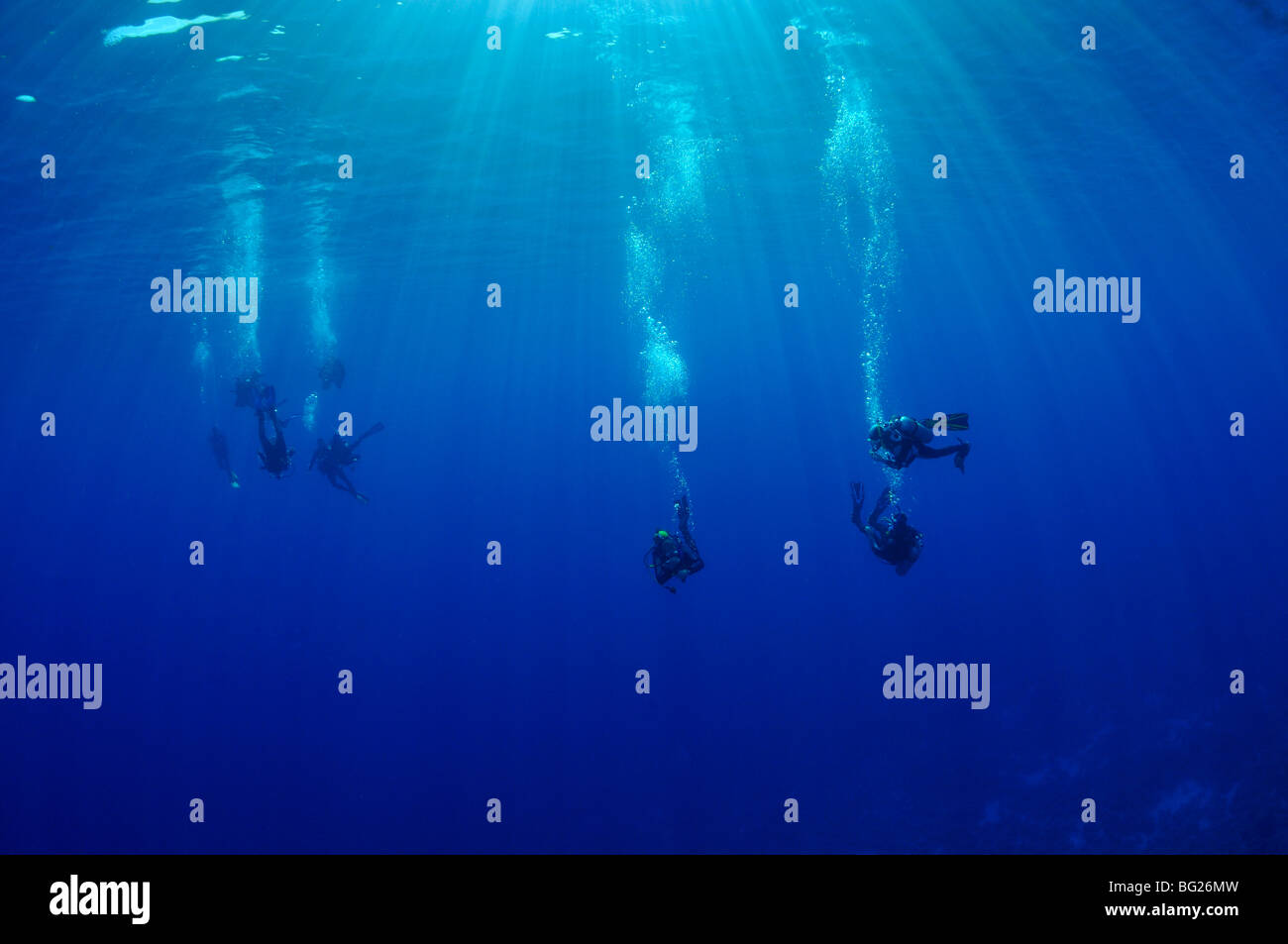 Gruppe von Tauchern im blauen Wasser mit Sonnenstrahlen Stockfoto