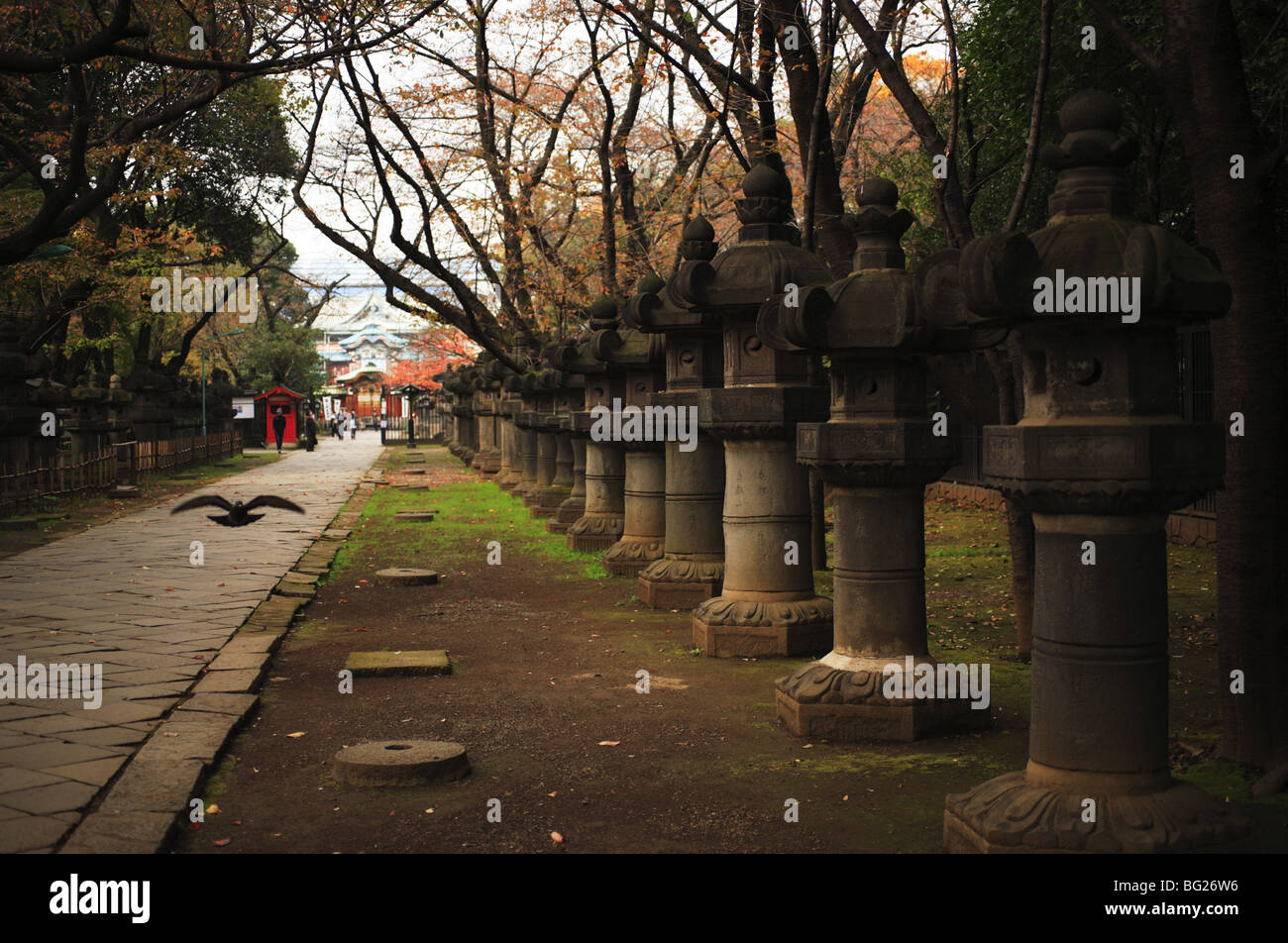 Tokio - 24. NOVEMBER: Ueno Toshogu Schrein am 24. November 2009 im Ueno Park, Tokio, Japan. Stockfoto