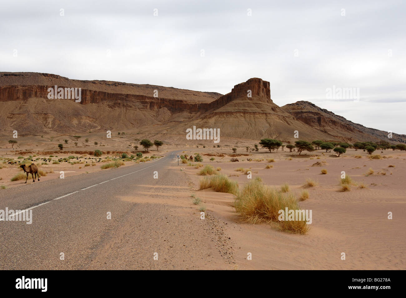 eine Straße in Grenznähe Sahara Wüste in Marokko Stockfoto