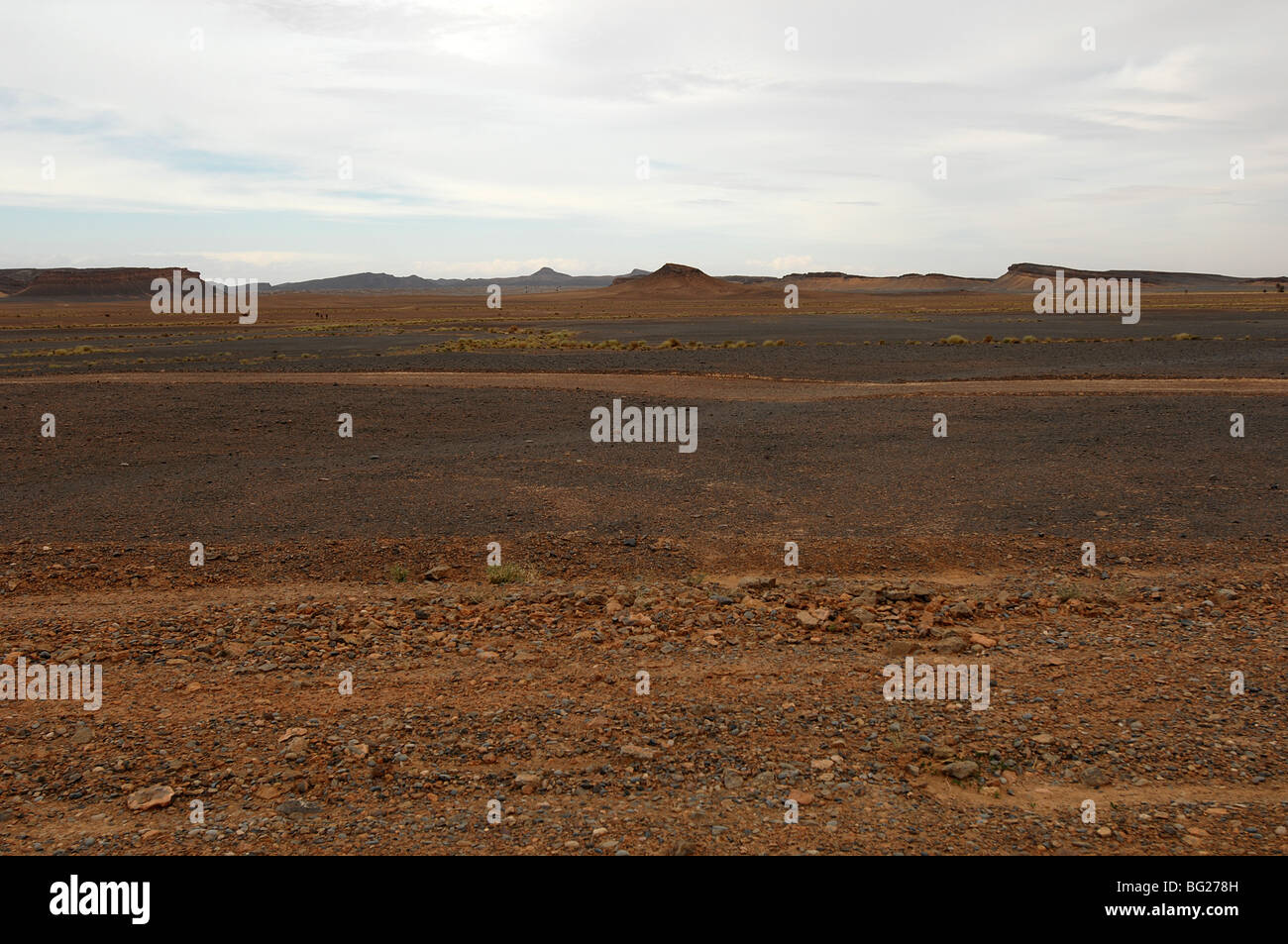 Eine Landschaft der Sahara in Marokko Stockfoto