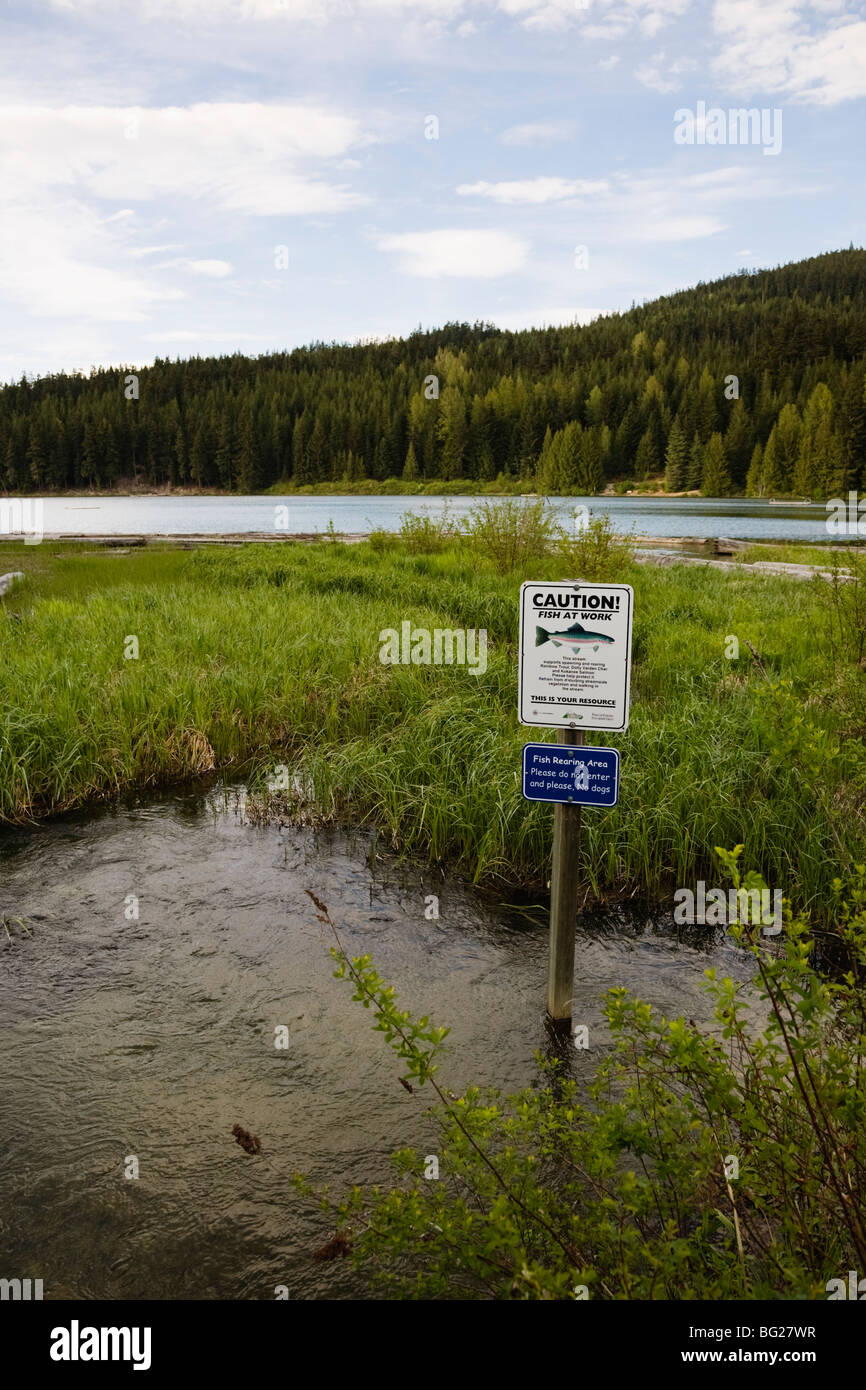 Schild warnt, dass unterstützt der Stream füttern Lost Lake laichenden Forelle, Whistler, BC, Kanada Stockfoto