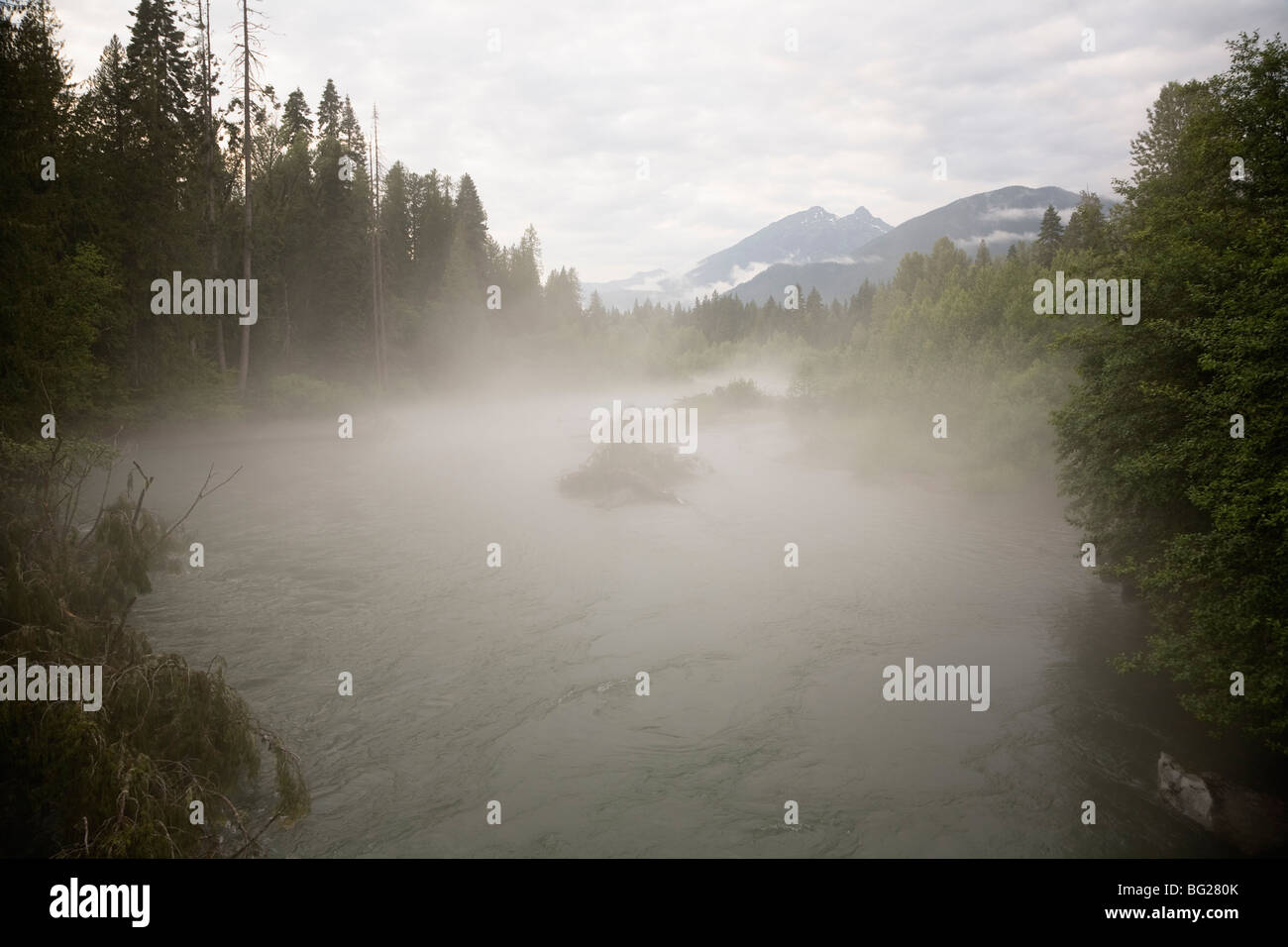 Nebel am Skagit River, Skagit Valley Provincial Park, Britisch-Kolumbien, Kanada Stockfoto