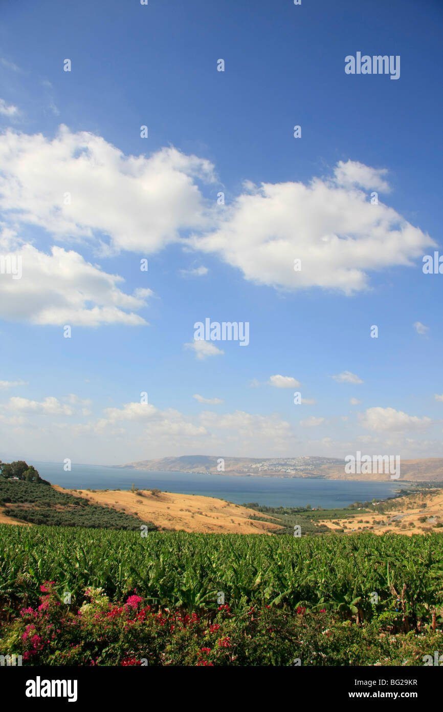 Israel, einen Blick auf das Meer von Galill aus dem Berg der Seligpreisungen Stockfoto