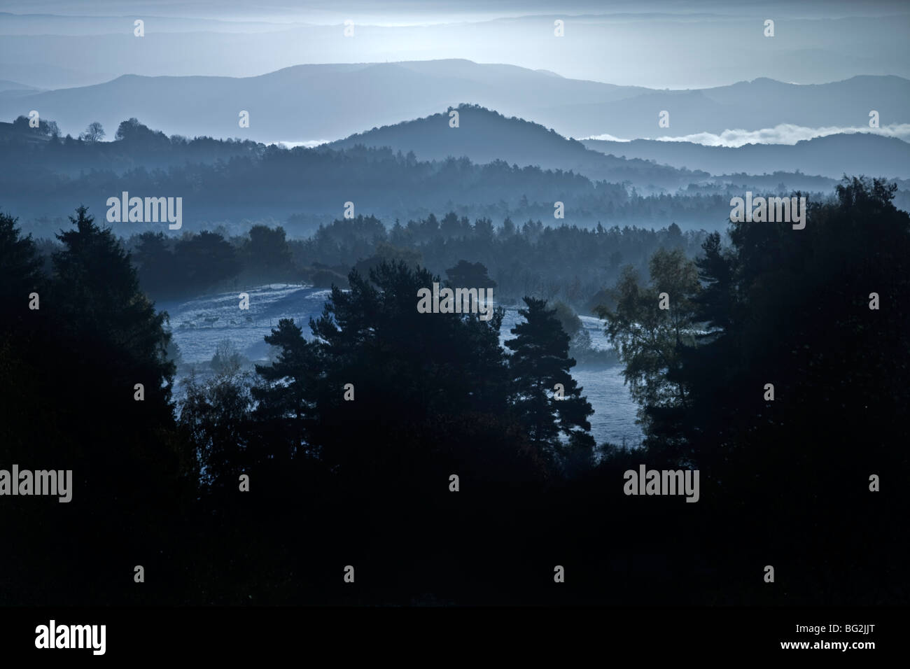 Am frühen Morgen umhüllt von eine winterliche Landschaft der Auvergne im Nebel (Frankreich). Paysage d ' Auvergne Baigné de Brume Matinale. Stockfoto