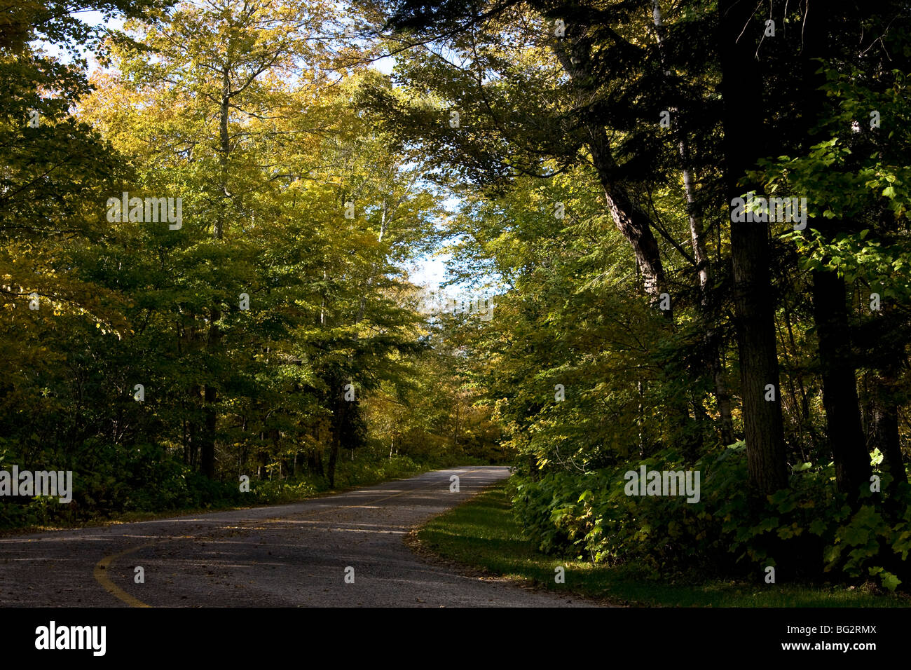 Bewaldeten Straße auf Washington Island, Wisconsin. Stockfoto