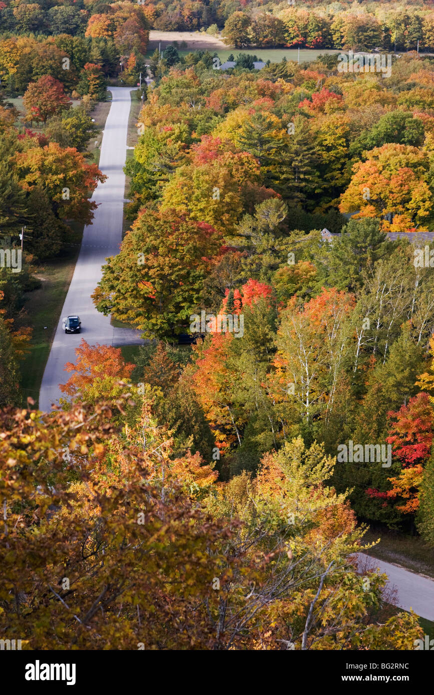 Herbstlaub auf Washington Island, Wisconsin Stockfoto