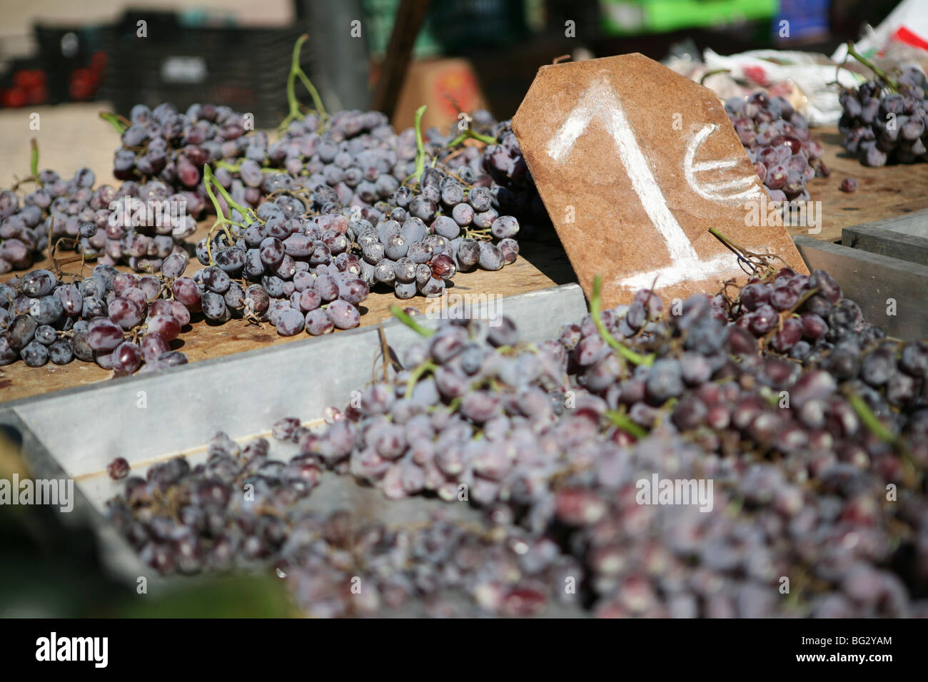 Frische Trauben aus violetten Trauben zum Verkauf an einem Marktstand in Spanien, Europa, 1 Euro-Schild / Vitis vinifera Stockfoto