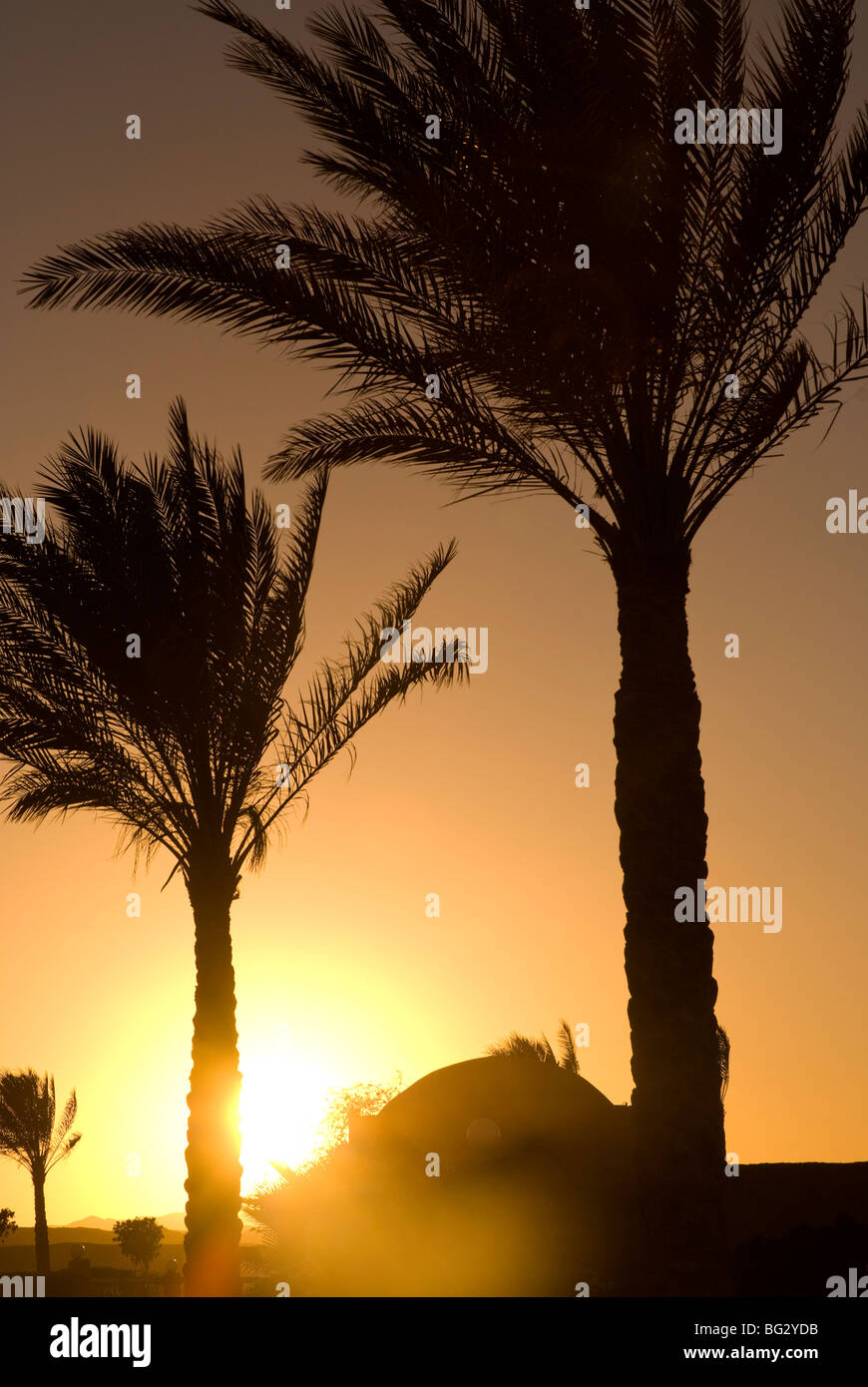 Sonnenuntergang in Marsa Alam, Rotes Meer, Ägypten Stockfoto