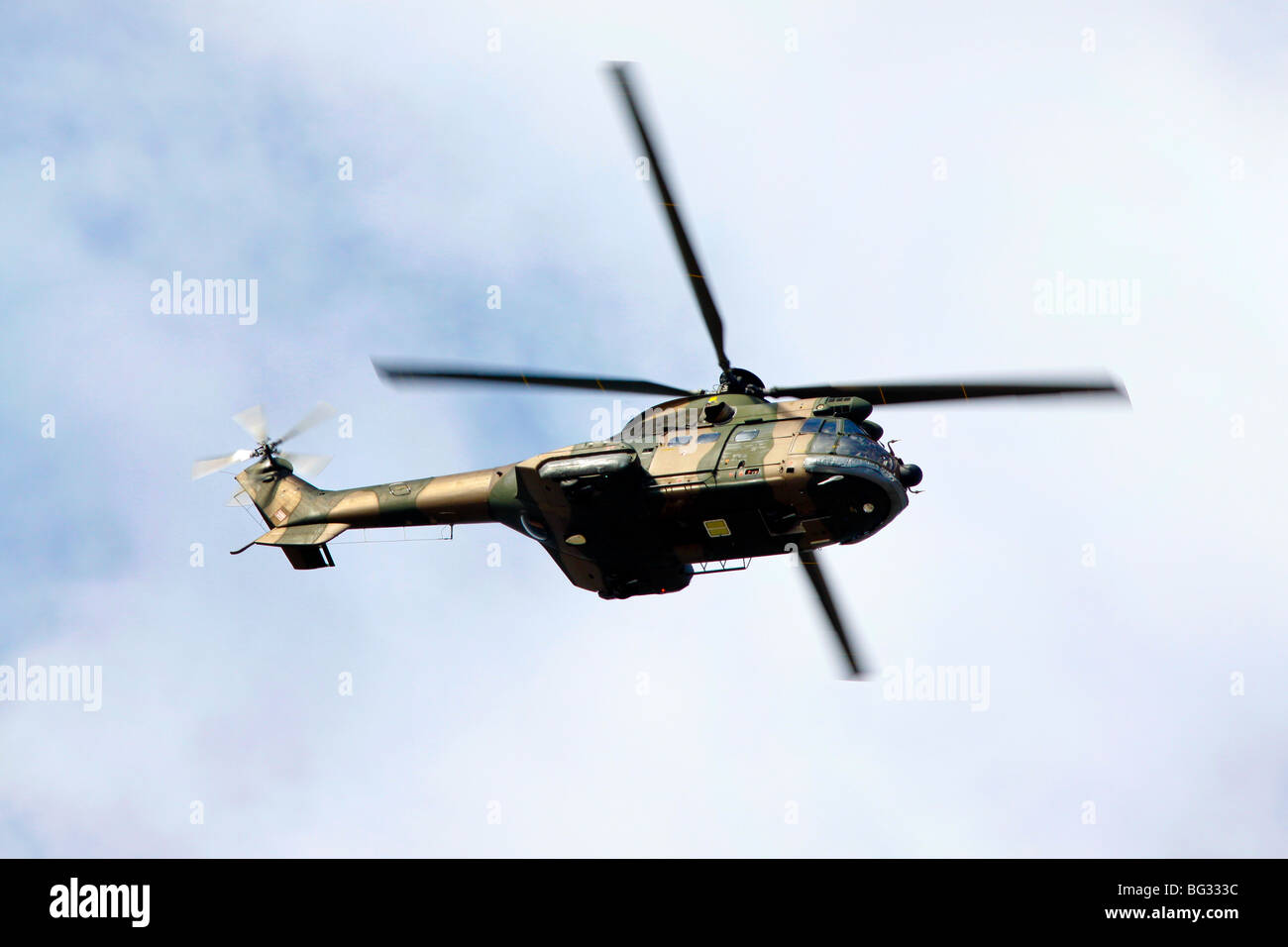 South African Air Force Puma oder Oryx Hubschrauber Stockfoto