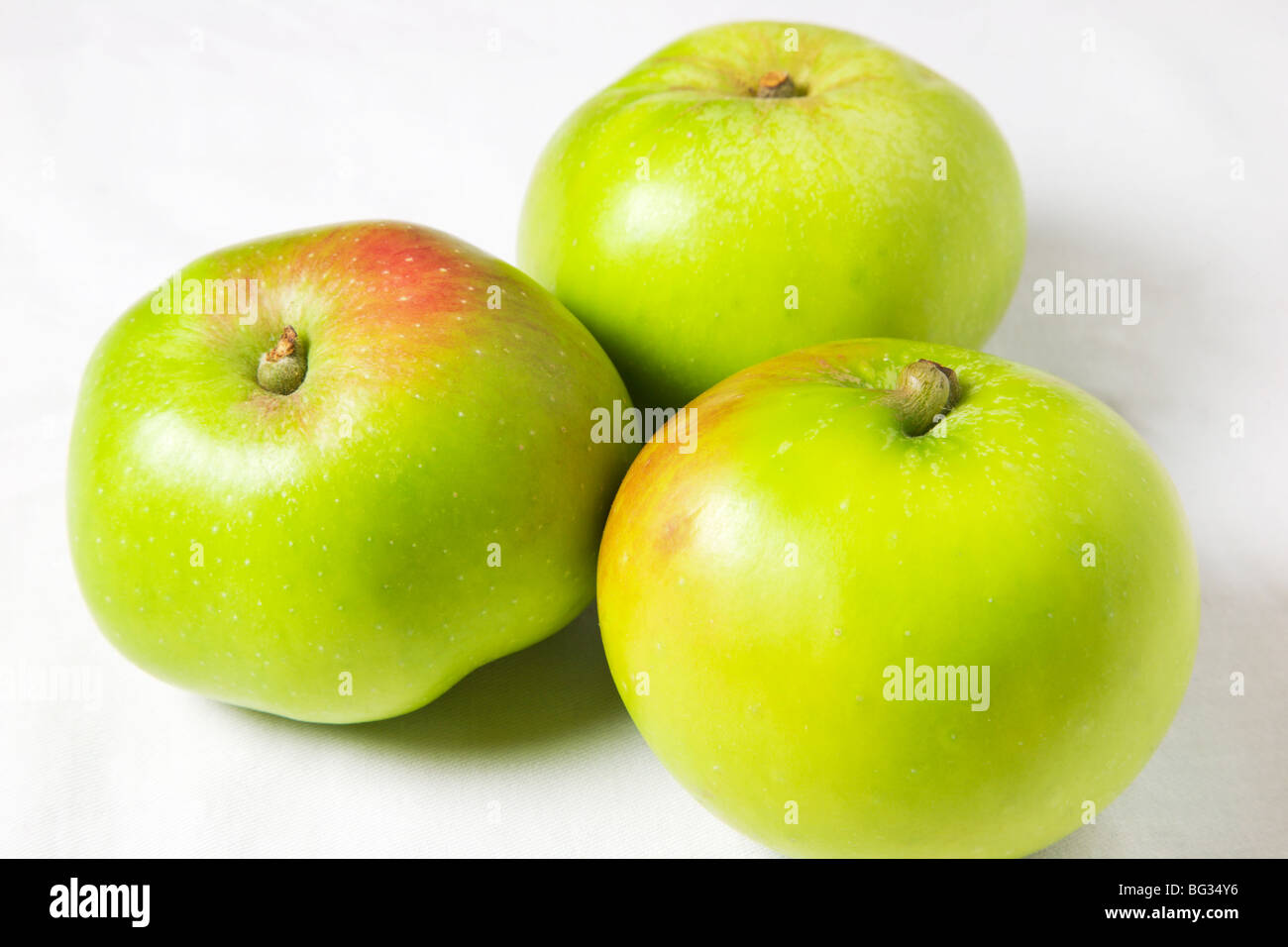 Drei Bramley Kochen Äpfel auf einem weißen Hintergrund Stockfoto
