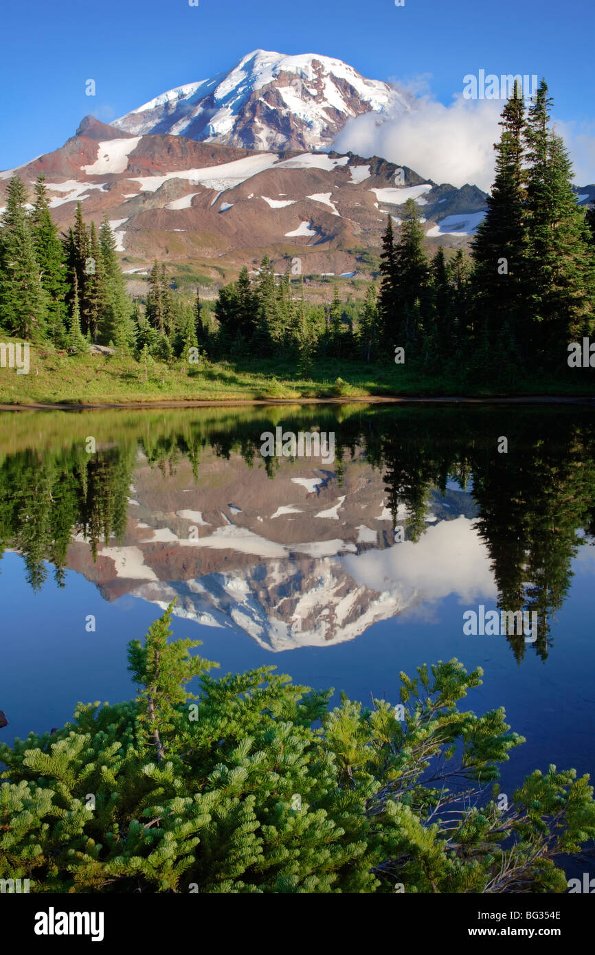 Mount Rainier vom Spray Park Stockfoto