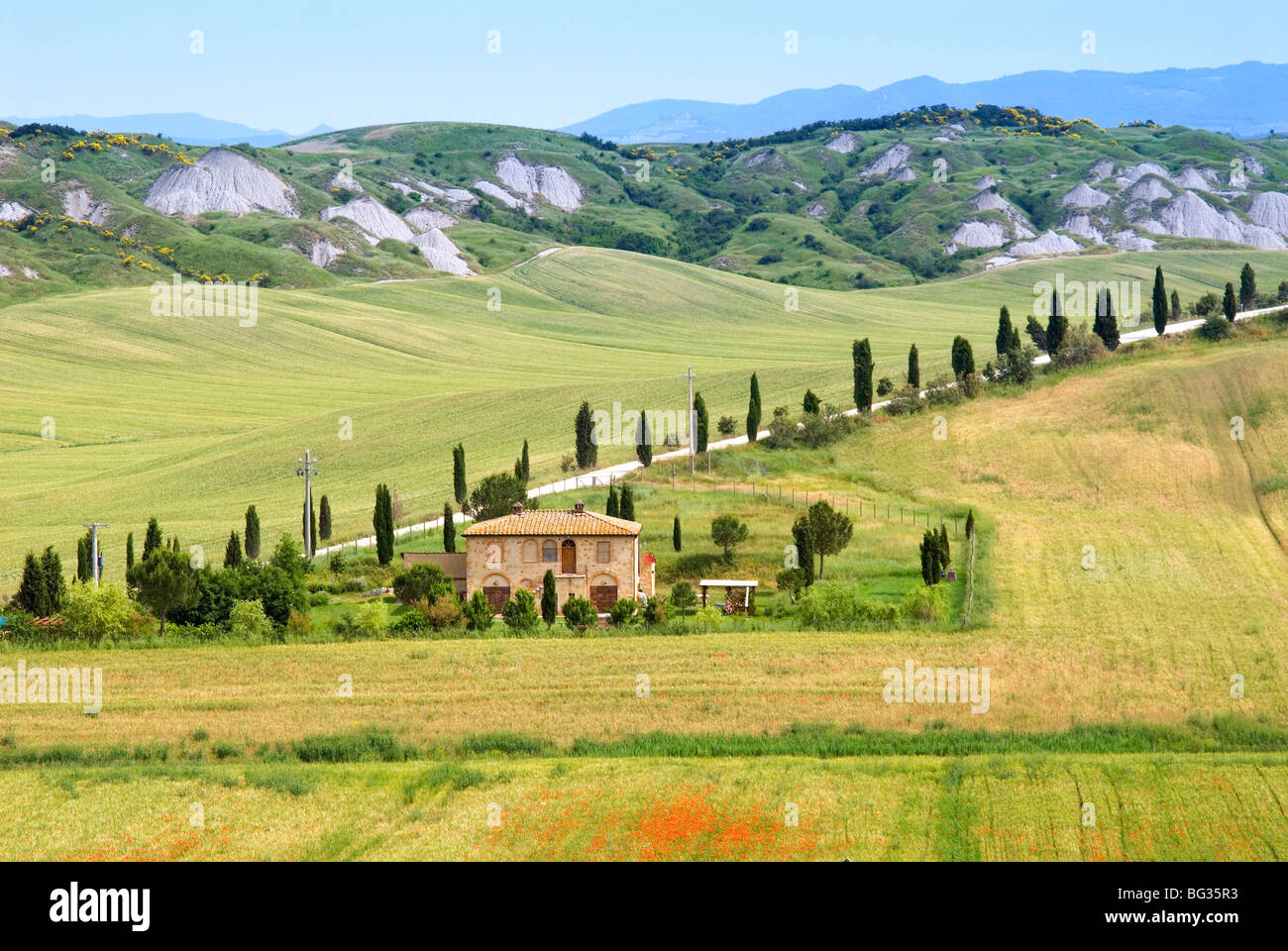 Crete Senesi-Gebiet in der Nähe von Asciano, Provinz Siena, Toskana, Italien, Europa Stockfoto