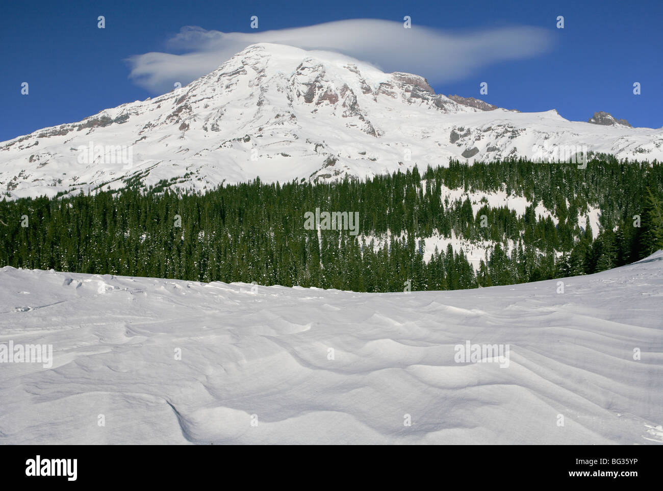 Mount Rainier Nationalpark im winter Stockfoto