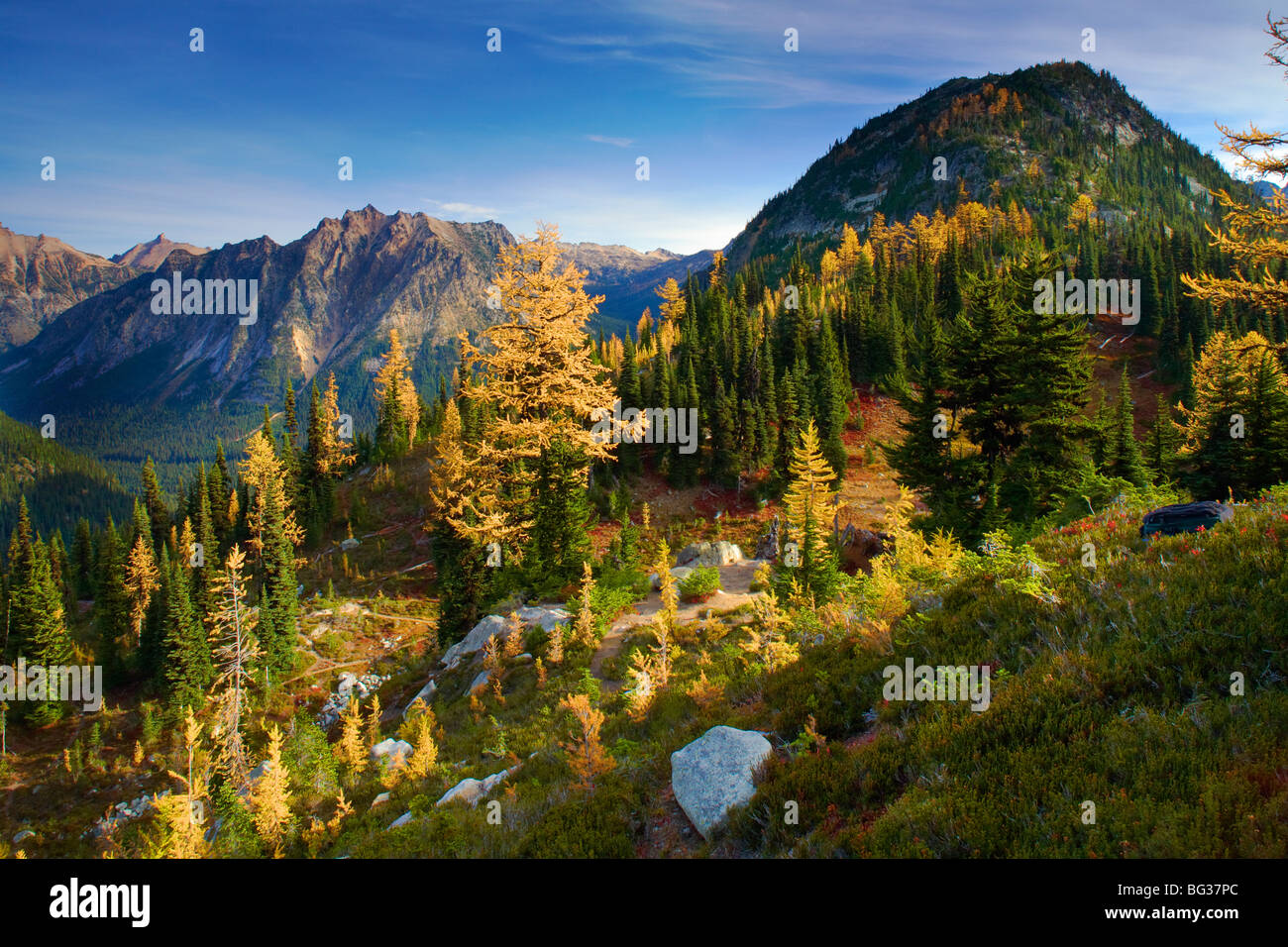 Heather weitergeben Maple Pass / Lake Ann trail in der North Cascades National Park. Stockfoto