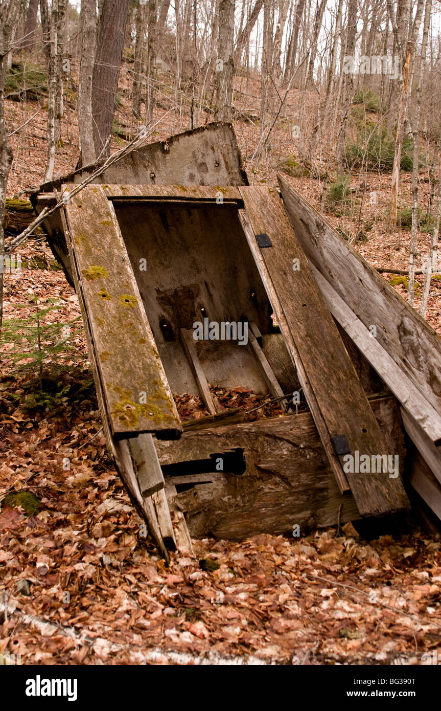 Alte, Haus im Wald umgekippt Stockfoto