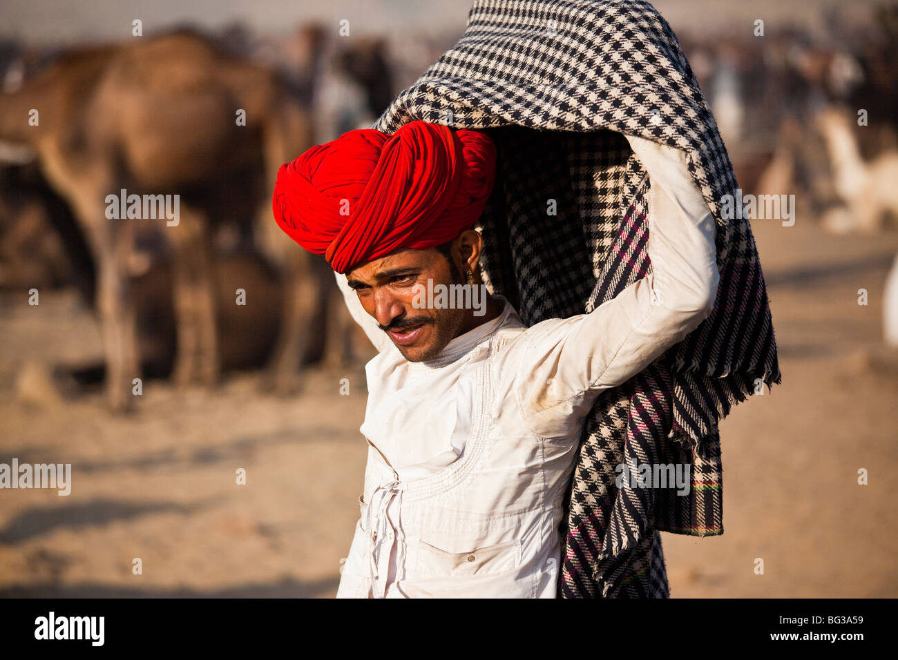 Kamel Messe in Indien Pushkar Stockfoto